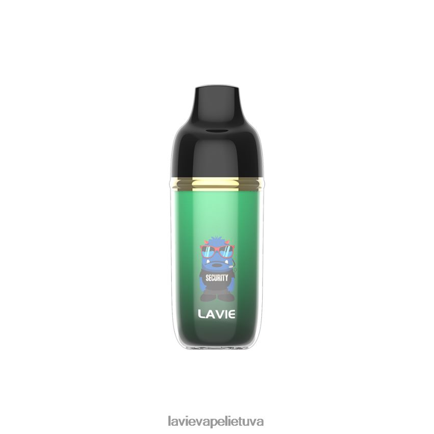 N226RV237 Lavie Vape Price | citrinų žolė LAVIE Monster 6000 išpūtimų